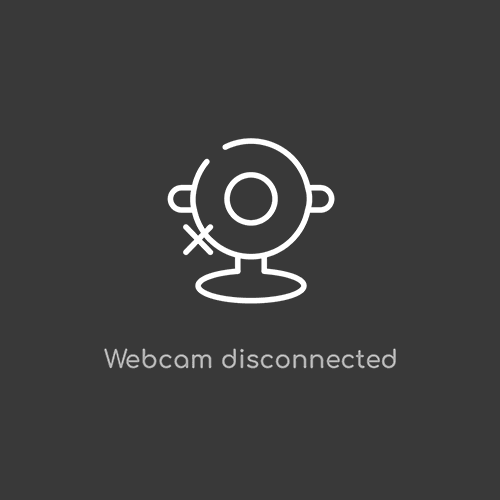 webcam disconnected